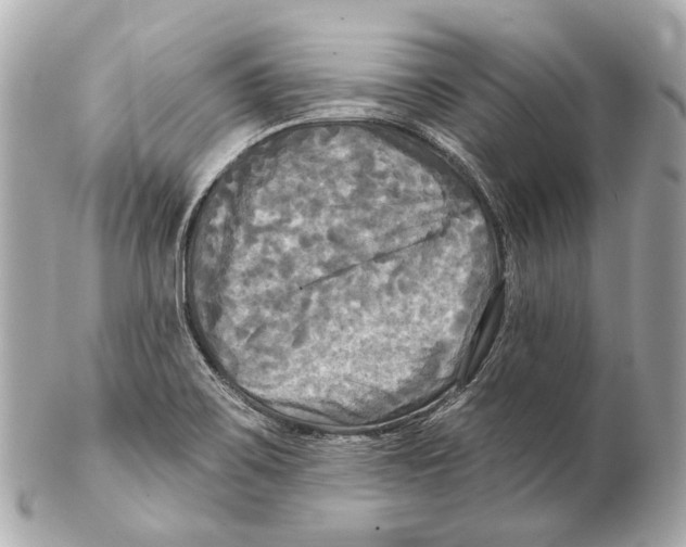 X0000102411467200808291456