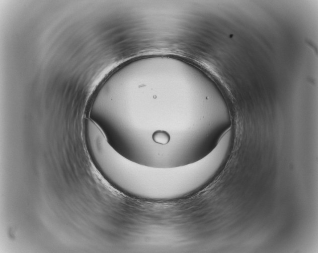 X0000102411468200808291456