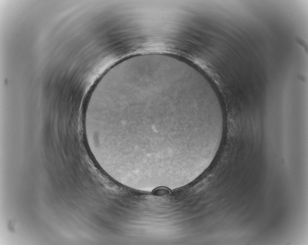 X0000102411469200808291456