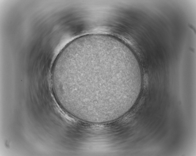 X0000102411470200808291456