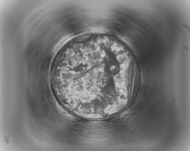 X0000102411471200808291456