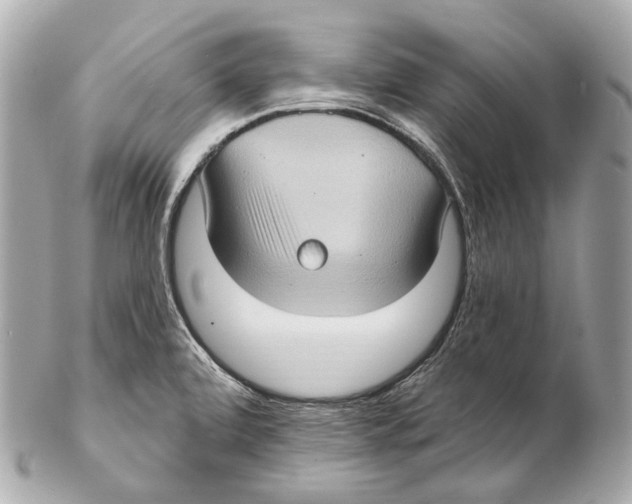 X0000102411472200808291456