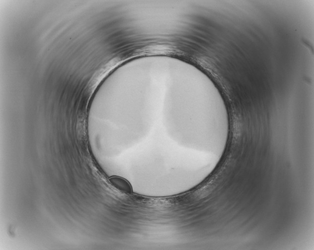 X0000102411473200808291456