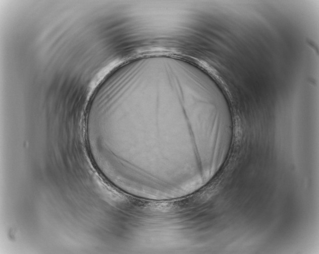 X0000102411474200808291456