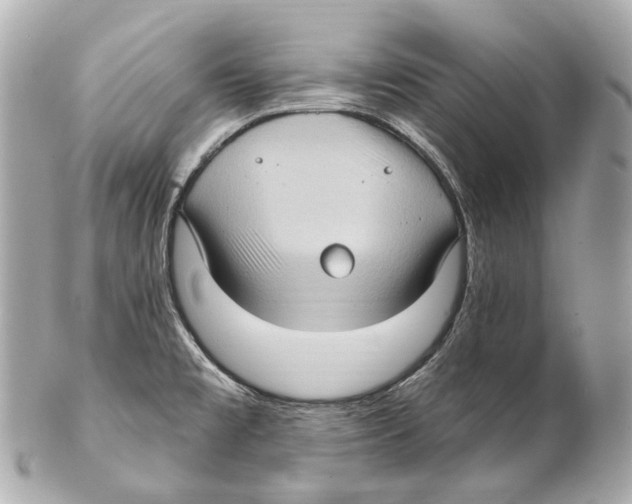 X0000102411477200808291456