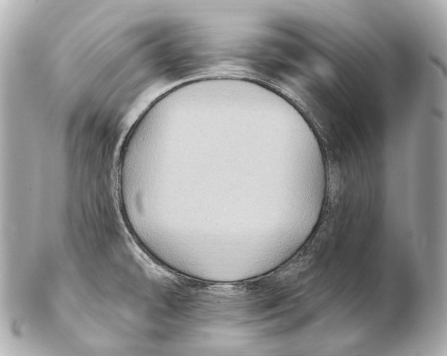 X0000102411478200808291456