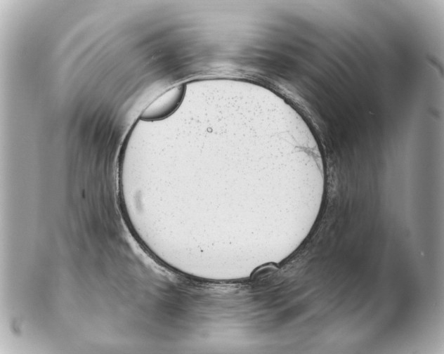 X0000102411479200808291456