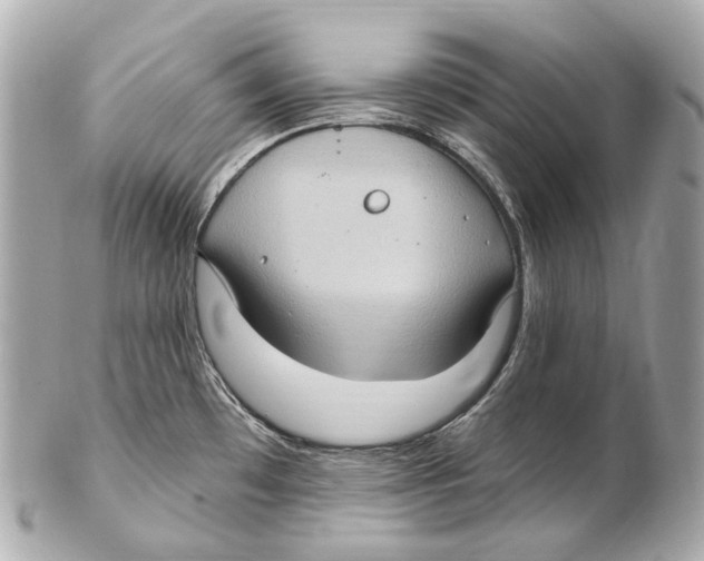 X0000102411481200808291456