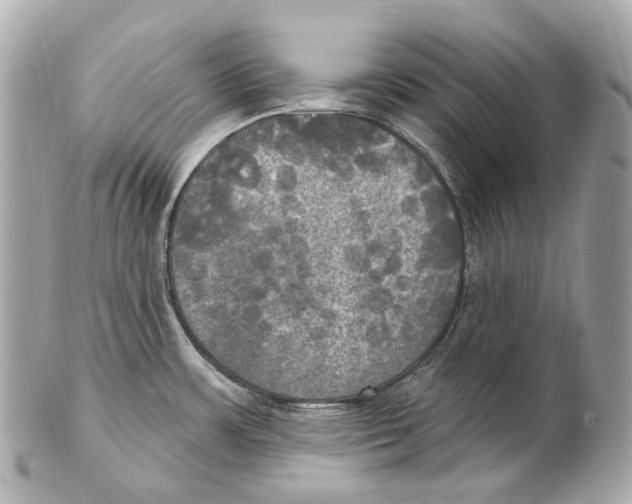 X0000102411483200808291456