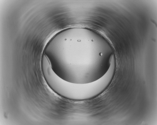 X0000102411484200808291456