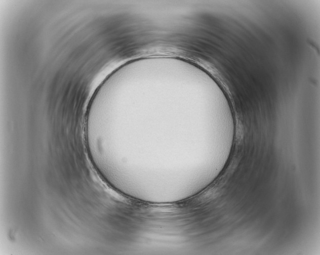 X0000102411486200808291456