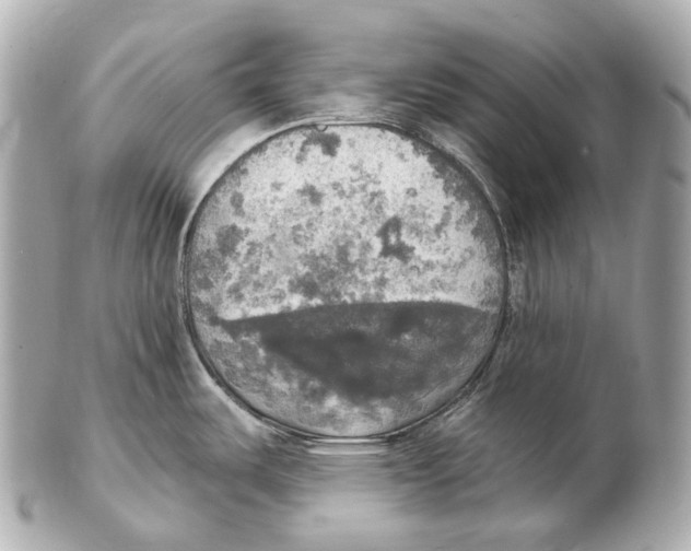 X0000102411487200808291456