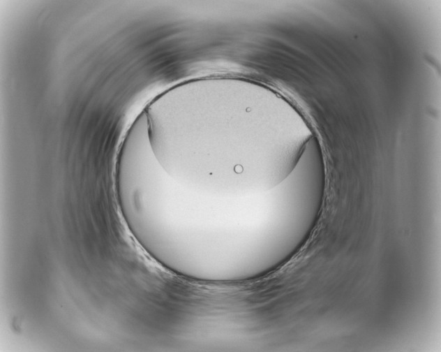 X0000102411488200808291456