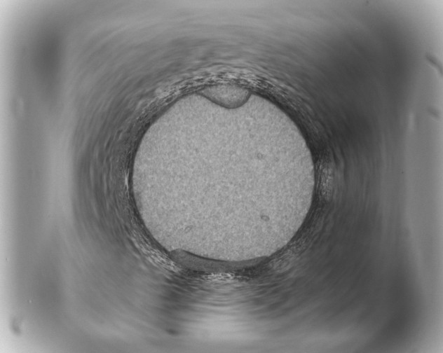 X0000102411489200808291455