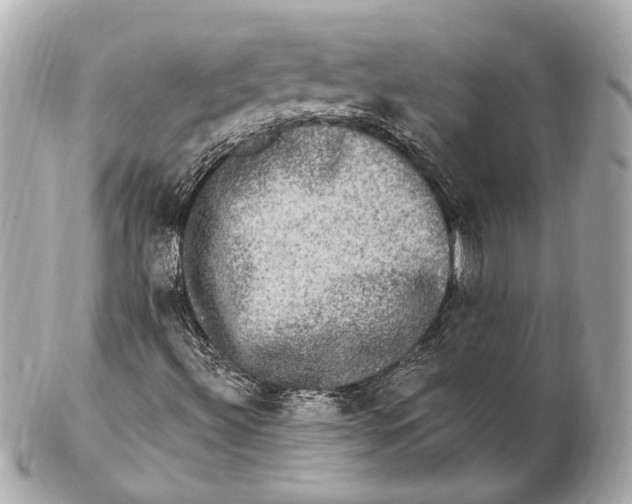 X0000102411492200808291456