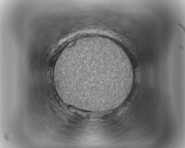 X0000102411494200808291456