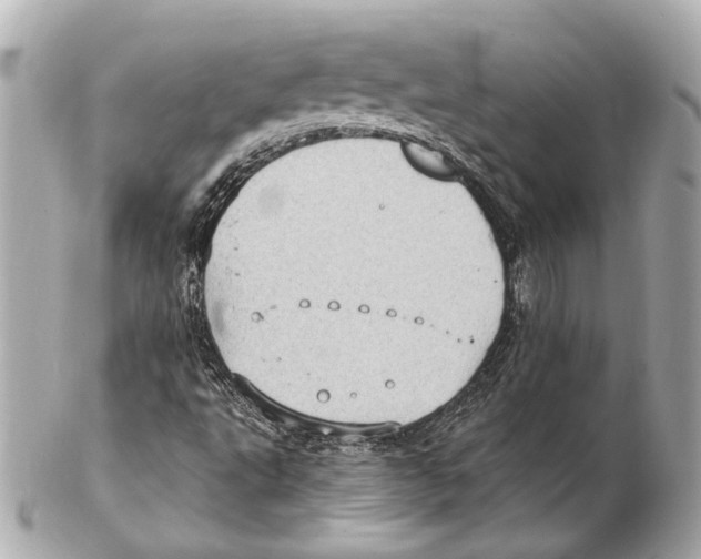 X0000102411495200808291456