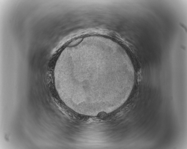 X0000102411496200808291456