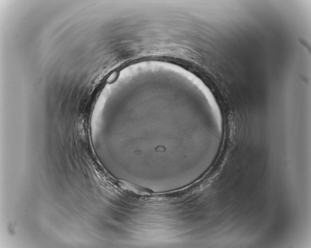 X0000102411497200808291456