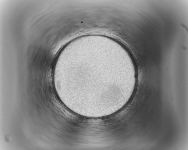 X0000102411498200808291456