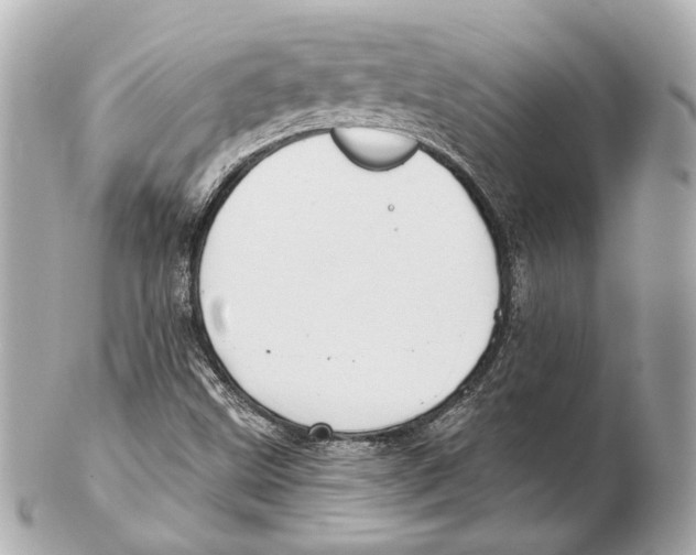 X0000102411499200808291456