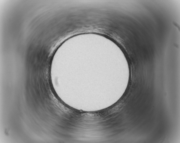 X0000102411500200808291456