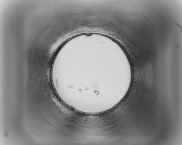 X0000102411503200808291456