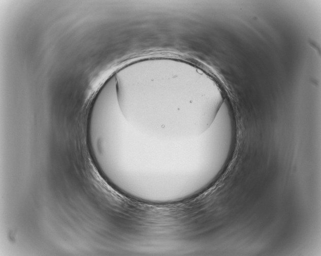 X0000102411504200808291456