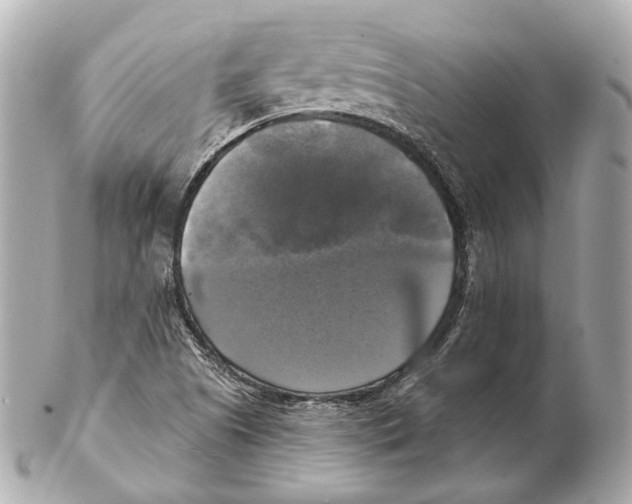 X0000102411505200808291456