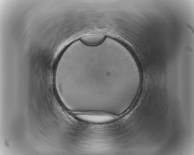 X0000102411506200808291456