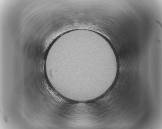 X0000102411507200808291456