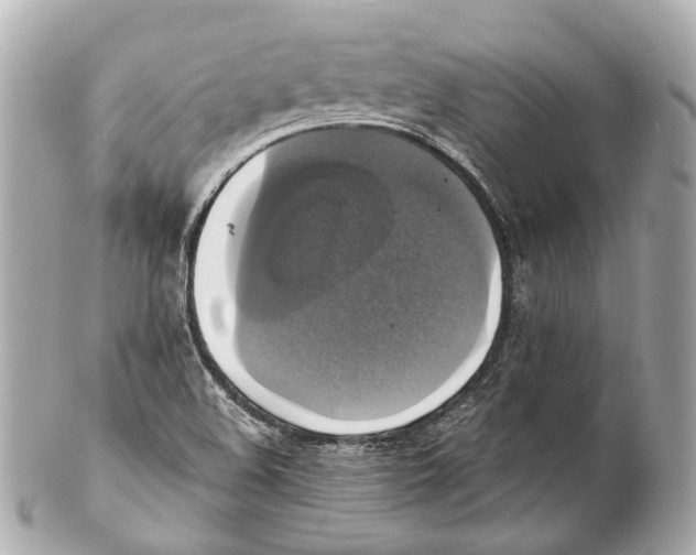 X0000102411508200808291456