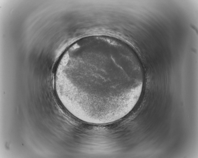 X0000102411509200808291456