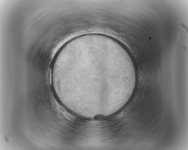 X0000102411510200808291456