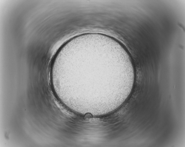 X0000102411511200808291456