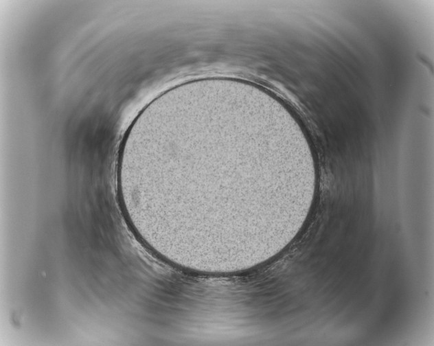 X0000102411512200808291456