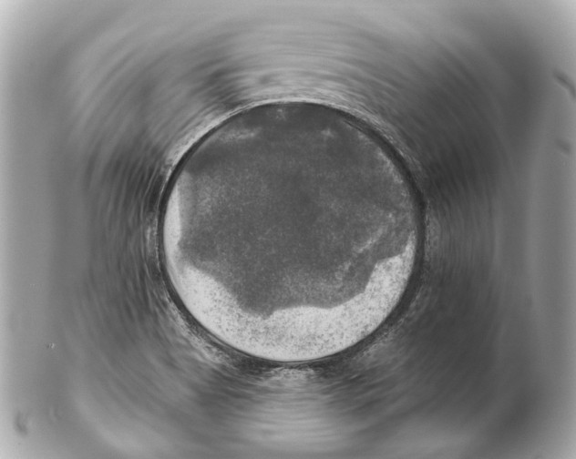 X0000102411513200808291456