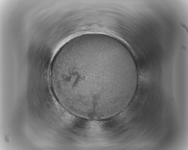 X0000102411514200808291456