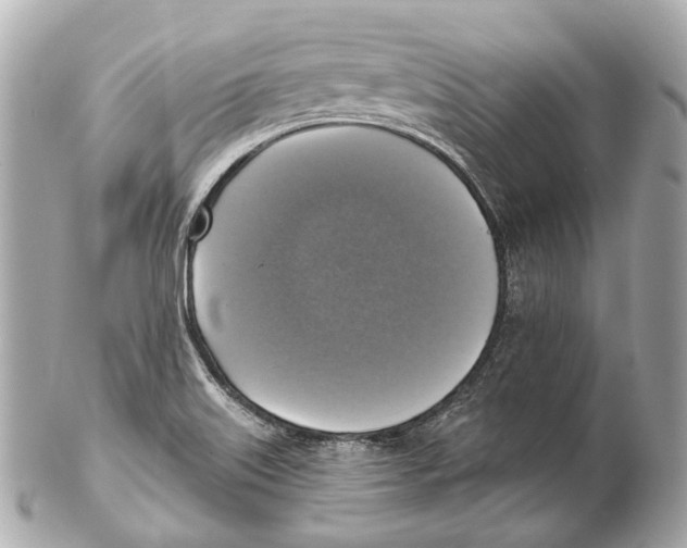 X0000102411515200808291456