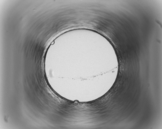 X0000102411516200808291456