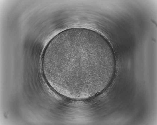 X0000102411517200808291456