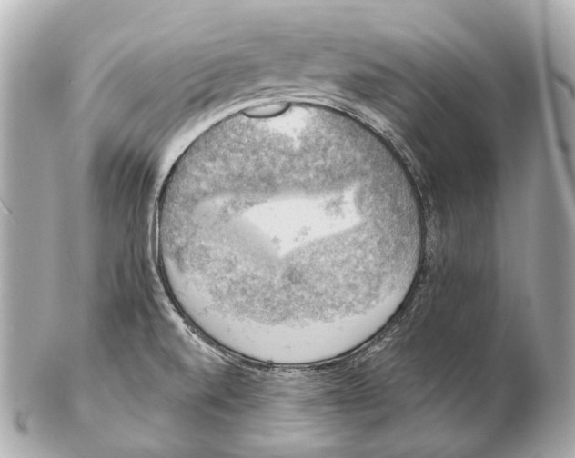 X0000102411520200808291456