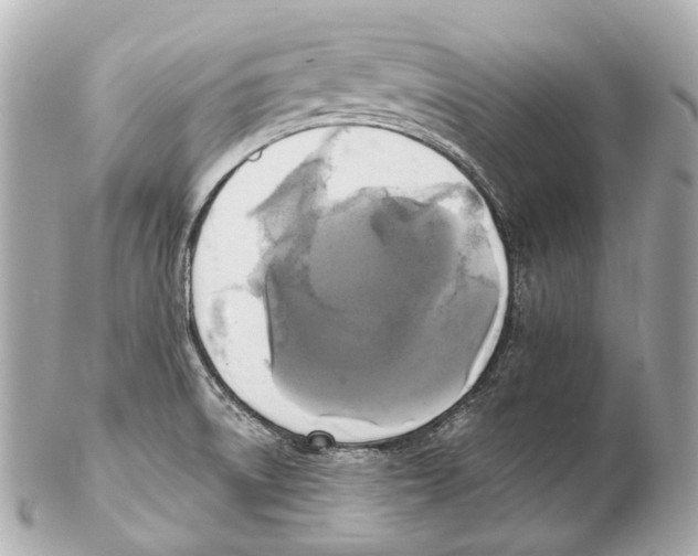 X0000102411522200808291456