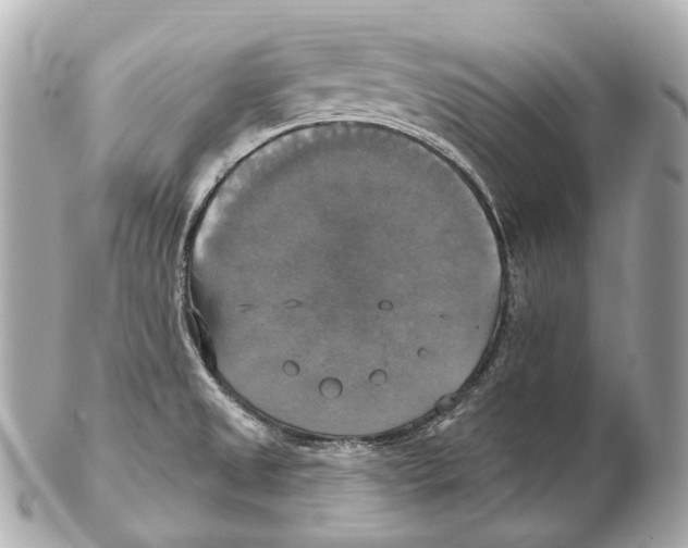 X0000102411525200808291456