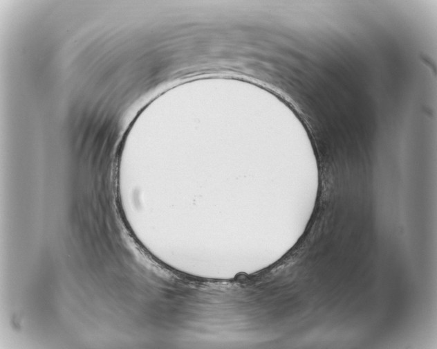 X0000102411526200808291456