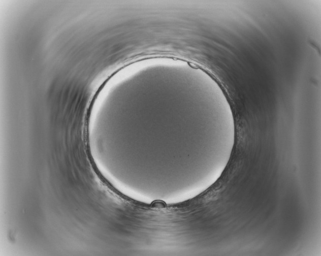 X0000102411527200808291456