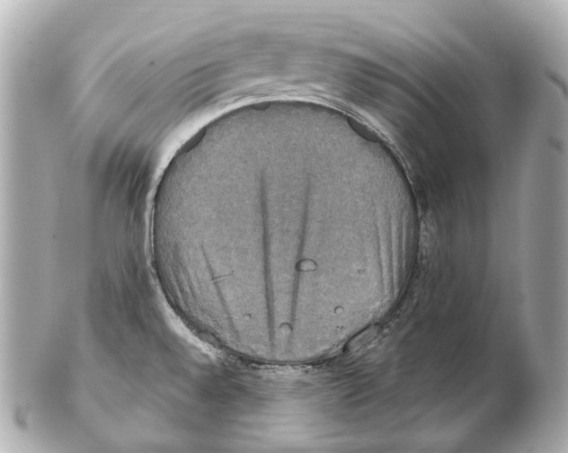 X0000102411528200808291456