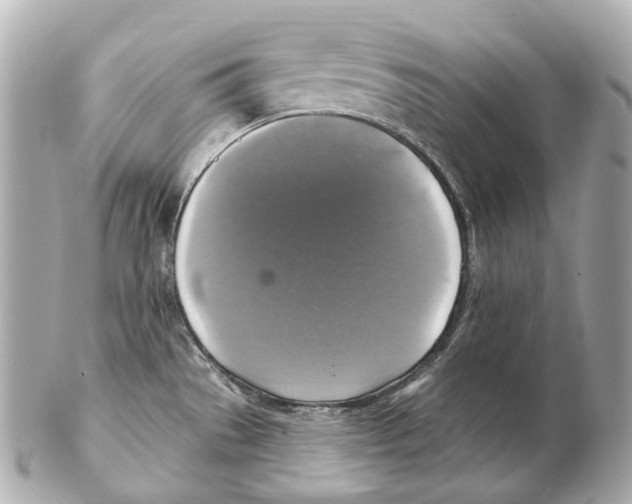 X0000102411529200808291456