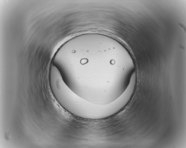 X0000102411530200808291456