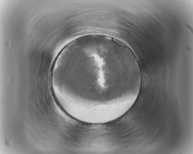 X0000102411531200808291456